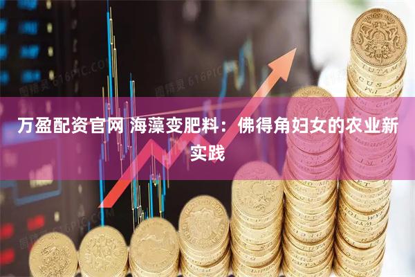 万盈配资官网 海藻变肥料：佛得角妇女的农业新实践