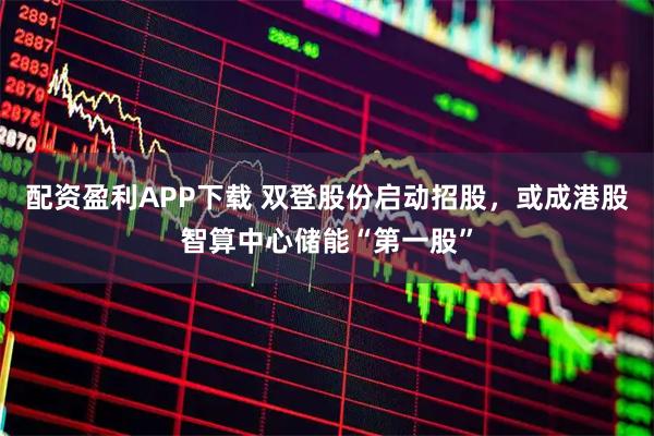 配资盈利APP下载 双登股份启动招股，或成港股智算中心储能“第一股”